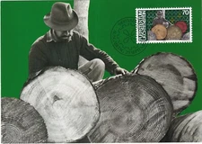 LIECHTENSTEIN 1982 MAXIMUM CARD, FARMING !! 77