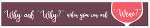 Wine Lover's Fun Gift!!!  Why ask Why when you can ask Wine" decorative sign