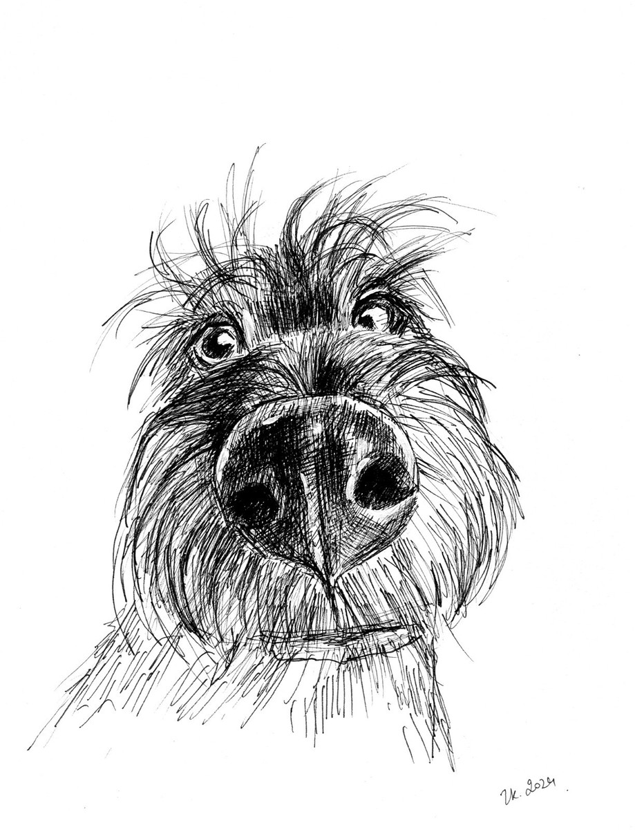 Original Drawing Dog Funny Animal Pet Portrait Pencil Ink Sketch