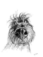 Original Drawing Dog Funny Animal Pet Portrait Pencil Ink Sketch Signed