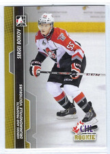 2013-14 ITG Heroes & Prospects #94 Sergei Boikov