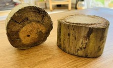 2 WEATHERED DRIFTWOOD PIECE Display Sea Wood Log Craft Plinth Branch Block Stand