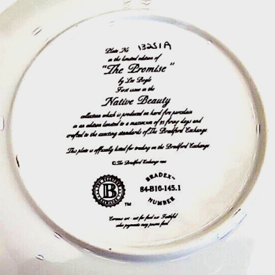Bradford Exchange The Promise Native Beauty Collection Collectible