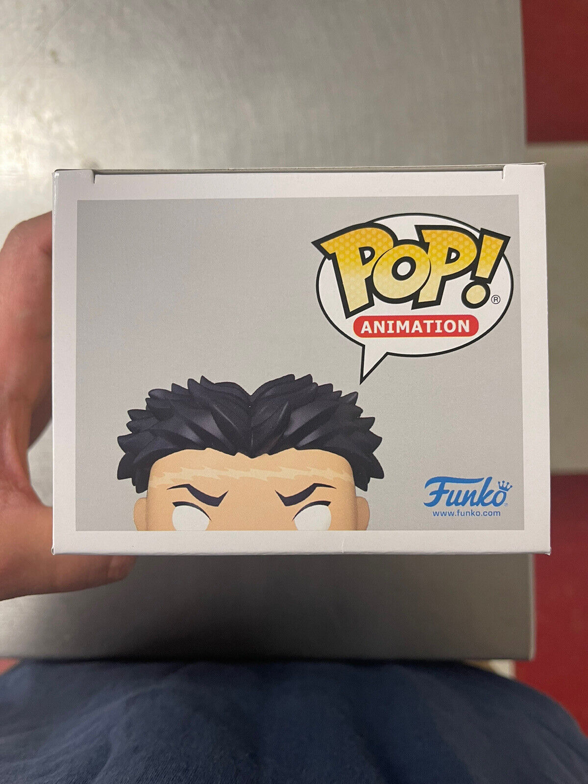 Funko Pop! Demon Slayer Gyomei Himejima 1091 Exclusivo Original - Moça do  Pop - Funko Pop é aqui!