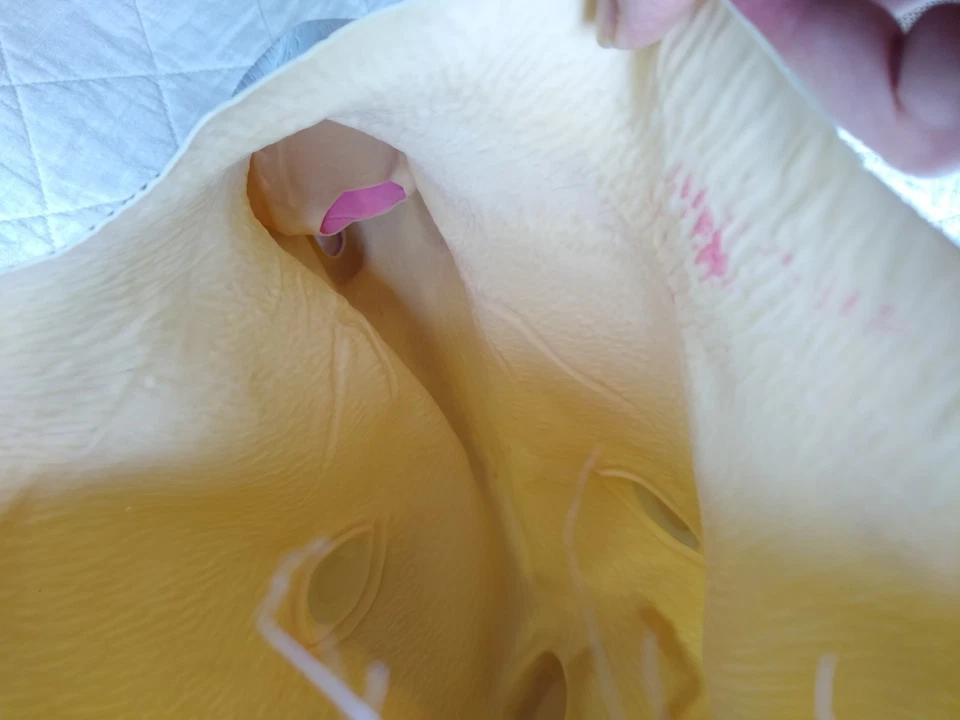 Easter Unlimited Unicorn Horse Full Head large Mask Rubber Latex Halloween - Image 4 of 4