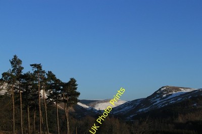 Foto A3 Kiefern bei Glen Eagles Muirton \/NN9211 Kiefern an der Spitze c2013