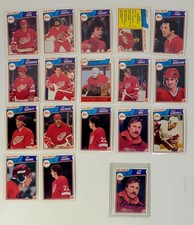 Detroit Red Wings Collecting and Fan Guide 69