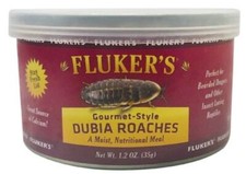 Reptile, Flukers Gourmet Style Dubia Roaches 1.2 oz 
