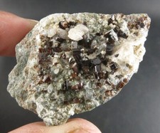 112 CARATI BRILLANTI CRISTALLI DI VESUVIANITE GRAPPOLO SU MATRICE RARO ESEMPLARE DA TROVARE