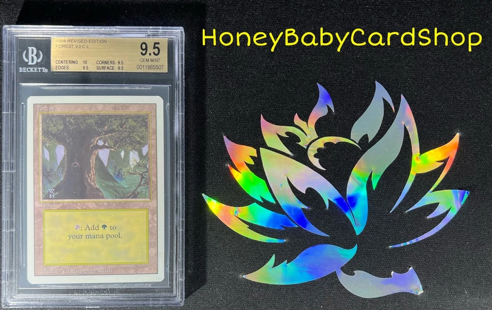 MTG 3rd Edition Revised 1994 Forest (C) BGS 9.5Q+ (TRUE QUAD+) GEM MINT 93/94 - Image 4 of 4