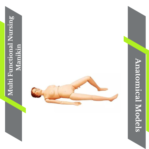 Maniquí de Enfermería Multifuncional Modelo Anatómico - Imagen 4 de 5
