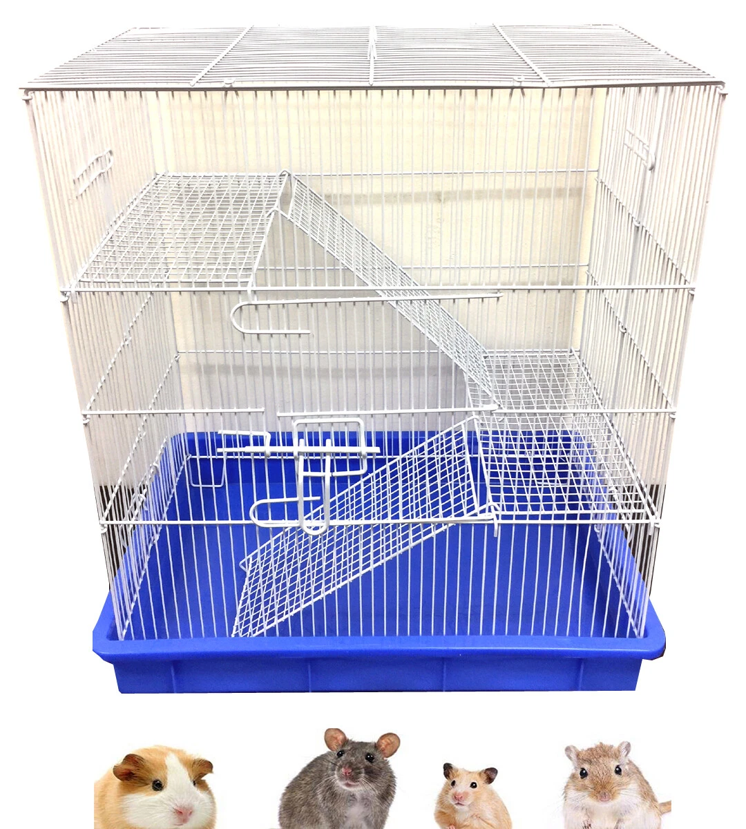 Hamsters, Gerbils, Rats and Mice