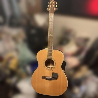 Greg Bennett Electric Acoustic mit Softcase