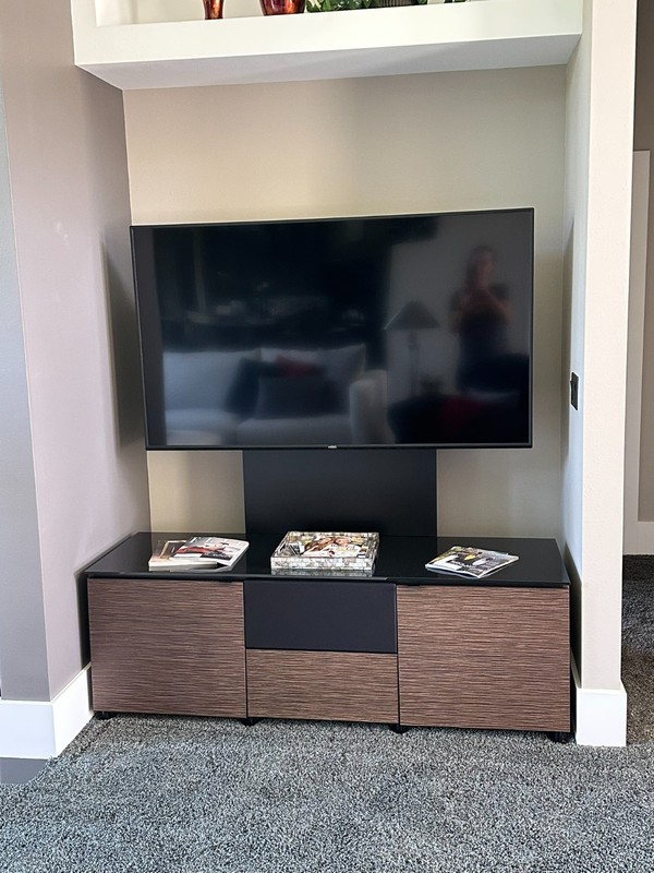 Salamander Designs Chameleon Console with TV Mount and glass top