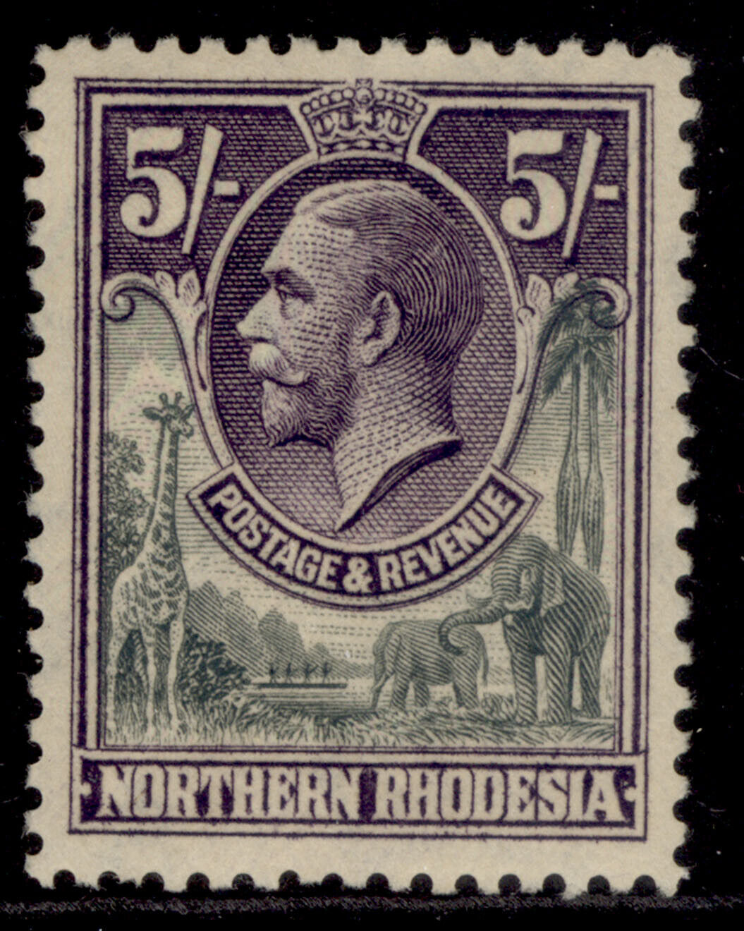 NORTHERN RHODESIA GV SG14 5s Max 84% OFF slate-grey & Tampa Mall M £ Cat violet MINT.