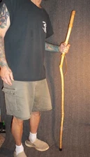 Tennessee Walking Stick- Wood Hiking Stick Staff Hike Pole Hand Carved Cane #80