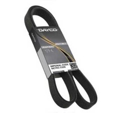Serpentine Belt-CNG Dayco 5080850