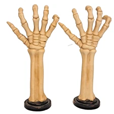 ASHLAND: Skeleton Hand On Stand Set Halloween Goth Anatomy Macabre Home Decor