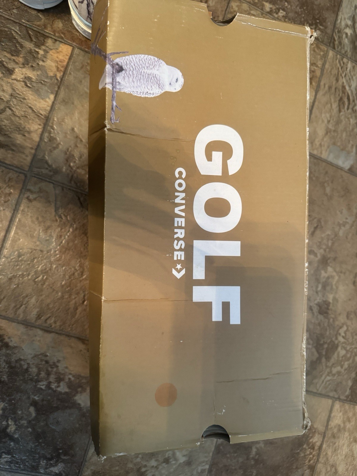 Converse Golf Wang x Chuck 70 Low Owl Sneakers Size 10 • Brand New • thumbnail 5