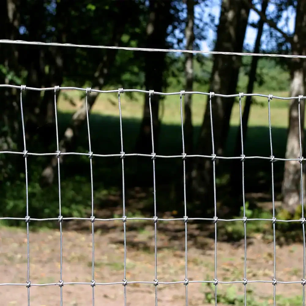 Barbless sale wire fence