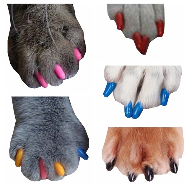 40 Pcs Soft Nail Caps for Dogs Cats Pet Claws Paws Control 10 Colors XS S M eBay