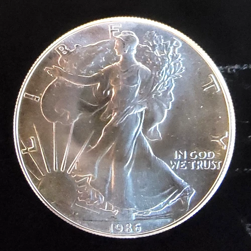 1986 American Eagle Toned Walking Liberty Bullion Vtg-0.999 Silver 1 Oz Coin 1f