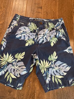 American Eagle Outfitters Mens Classic Shorts Blue Leaf  Size 28 Inseam 10 CS10