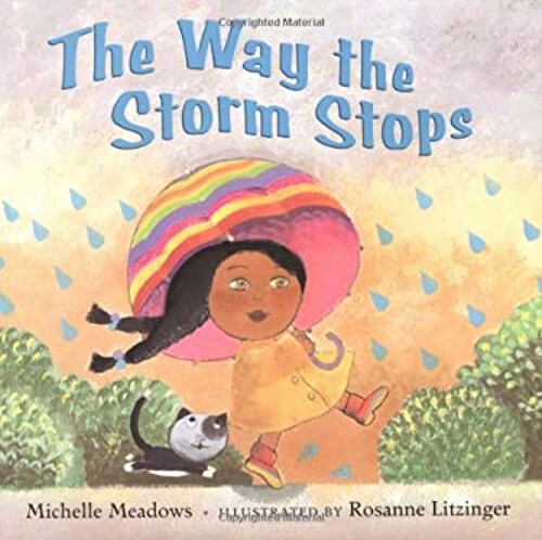 Discover The Way the Storm Stops Hardcover by Michelle Meadows for a captivating read