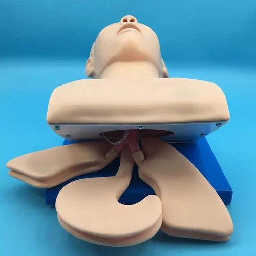 Maniquí de Intubación Estudio Enseñanza Modelo Entrenador de Gestión de Vías Aéreas PVC Dientes NUEVO- - Imagen 6 de 6