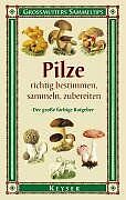 Pilze richtig bestimmen, sammeln, zubereiten. Der g... | Buch | Zustand sehr gut - Bild 1 von 2