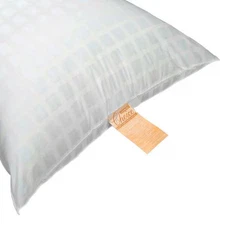 R & R Textile X11200 Pillow, Standard, 21X27 In, White