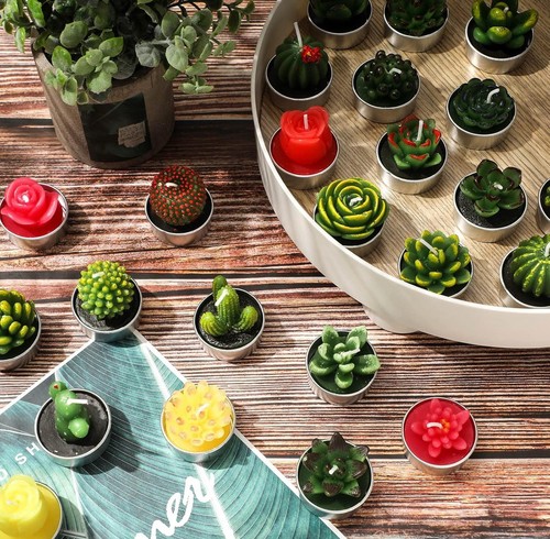 Succulent Cactus Tea Light Candles Cute Plant Shaped Bulk Birthday Party - Picture 2 of 5