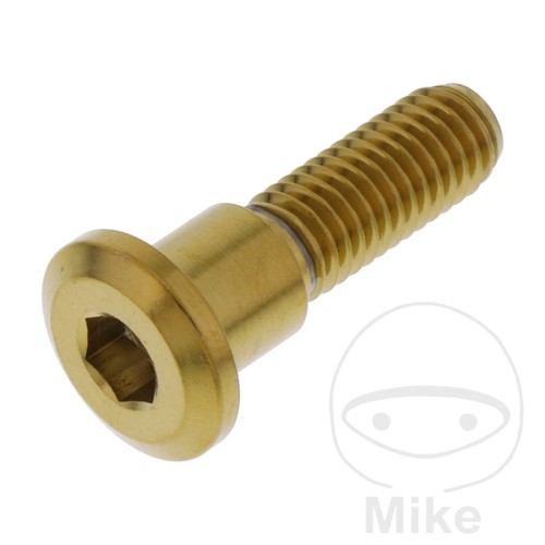 Lot De 2 Vis Disque De Frein M8x1.25 AERZETIX C71069 - Compatible OE 7734791, 422832, 1549595, 95511279