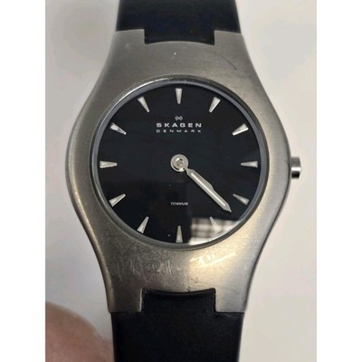Skagen Denmark, Petite Ladies Silver Tone Watch, 7.5 