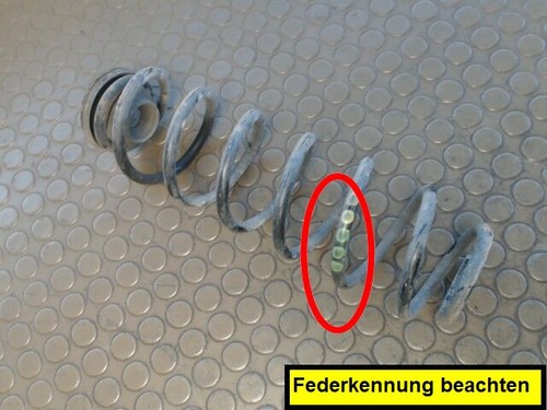 Hinterfeder Links Seat Ibiza 1.4 16V 6L 12 Monate Garantie Sofortversand