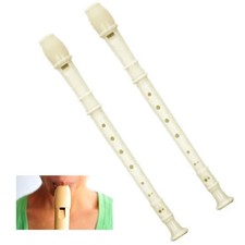 2 Plastic Flute 8 Holes Woodnote Soprano Recorder Baroque Instrument New
