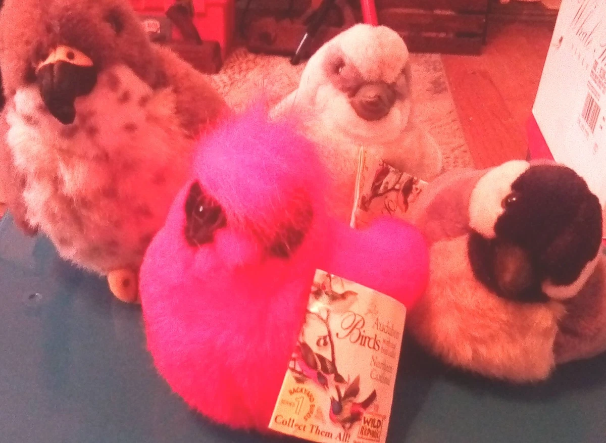 Audubon plush store birds ebay