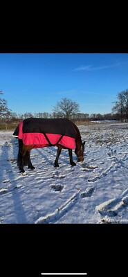 Outdoordecke Winterdecke Thermodecke 300g Füllung 1200D TYREX EquiTheme bordeaux