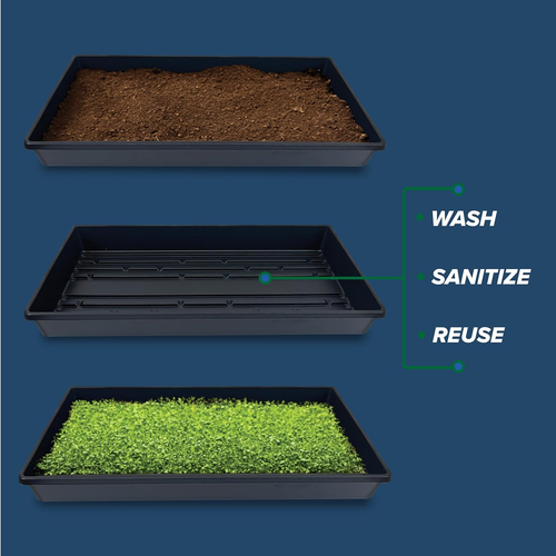 10 Plant Growing Trays (No Drain Holes) - 20" X 10" - Perfect Garden Seed Starte - Picture 4 of 12