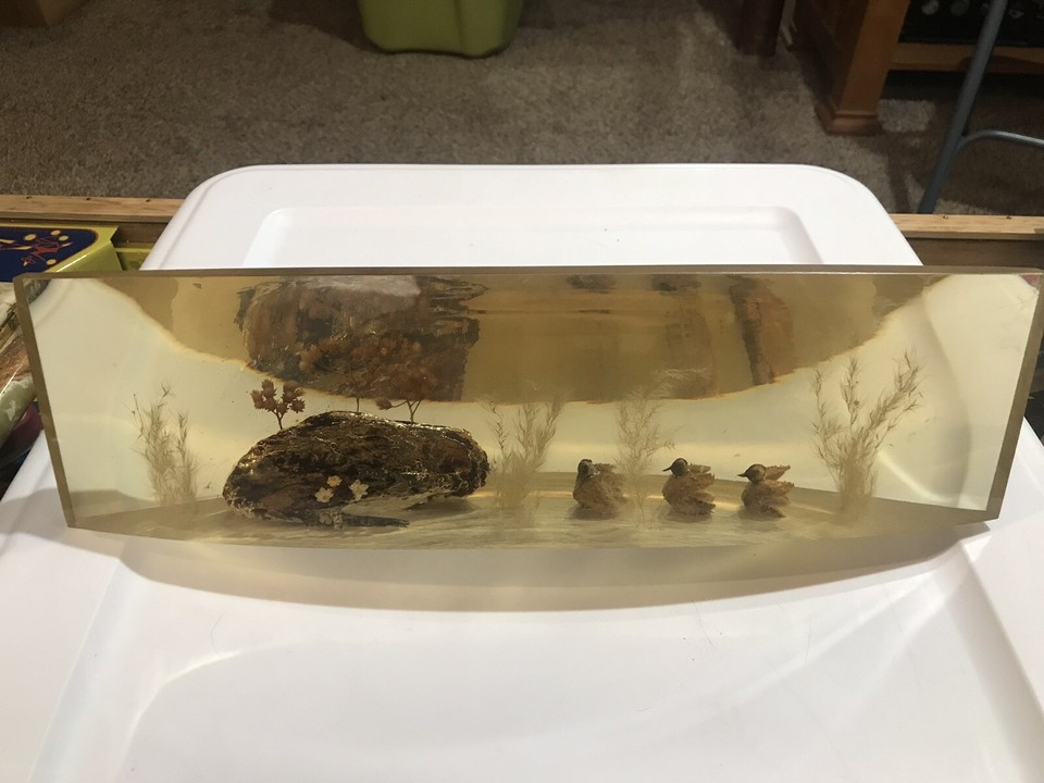 A surreal slice of mid-century kitsch — real chicks preserved in clear Lucite like a tiny diorama frozen in time, genuinely bizarre and conversation-stopping.