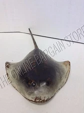 Frontgate Nautical Beach Ocean Home Patio Indoor Decor Stingray Figurine 