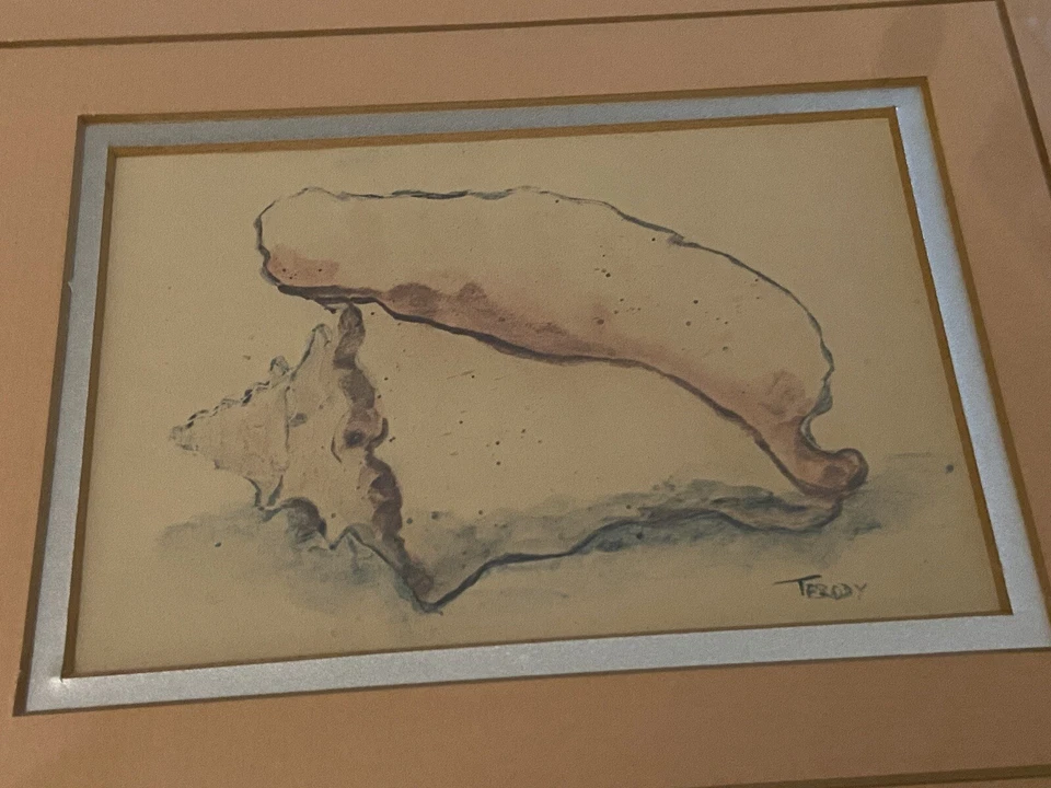 Conch Seashell Peach Wall Art Glass & Silver Framed Print 10x8” TBE Art Corp FL - Image 2 of 4