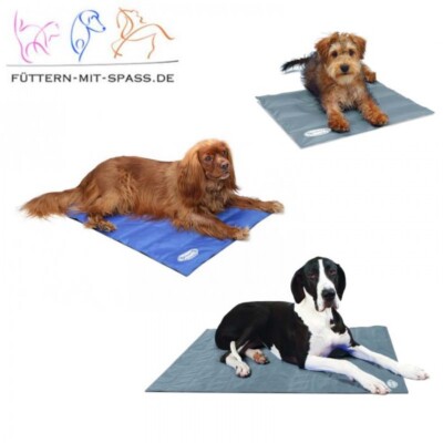 ORIGINAL Scruffs Cool Mat Hunde Kühlmatte Kühlkissen Kühldecke bei Hitze (25,90 