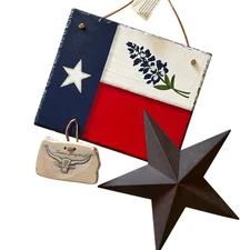 Texas Home Decor Unique Artwork