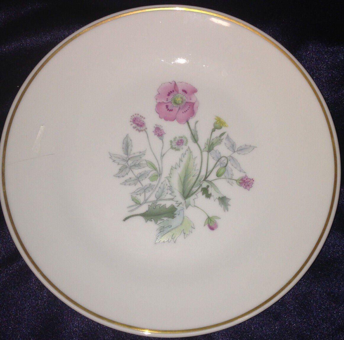 RICHARD GINORI Primavera Pink Floral 8” Salad Plate Fine Bone