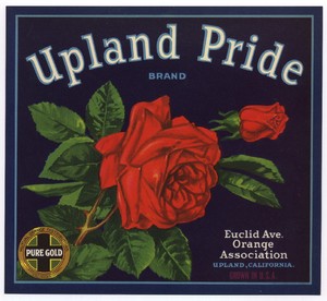 Upland Pride Vintage Orange Crate Label Red Rose Flower An