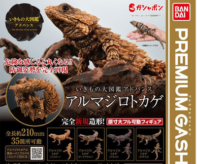 Armadillo Lizard Figure The Diversity of Life on Earth Advance Bandai Gashapon