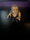 The Undertaker WWE Funko Mystery Mini Vinyl Figure
