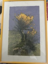 Giancarlo Cazzaniga Fiori Litografia Firmata e Autenticata E Incorniciata