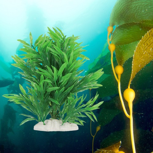 Realistic Plastic Fish Plants Create a Serene and Natural Habitat eBay